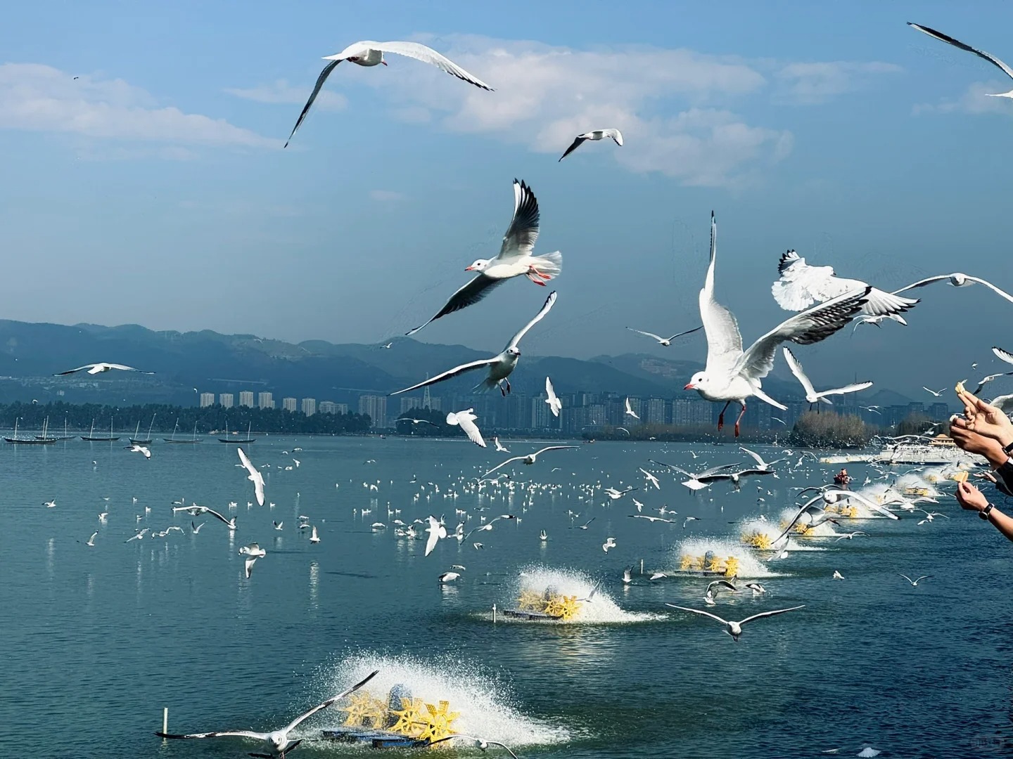 Xin được như ý Chúa